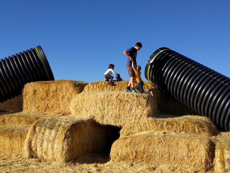 8 Idaho Mazes That Take Families At Least An Hour To Escape This October - Decor Hint The Rexburg Straw Maze & Haunted Forest, Rexburg, ID
