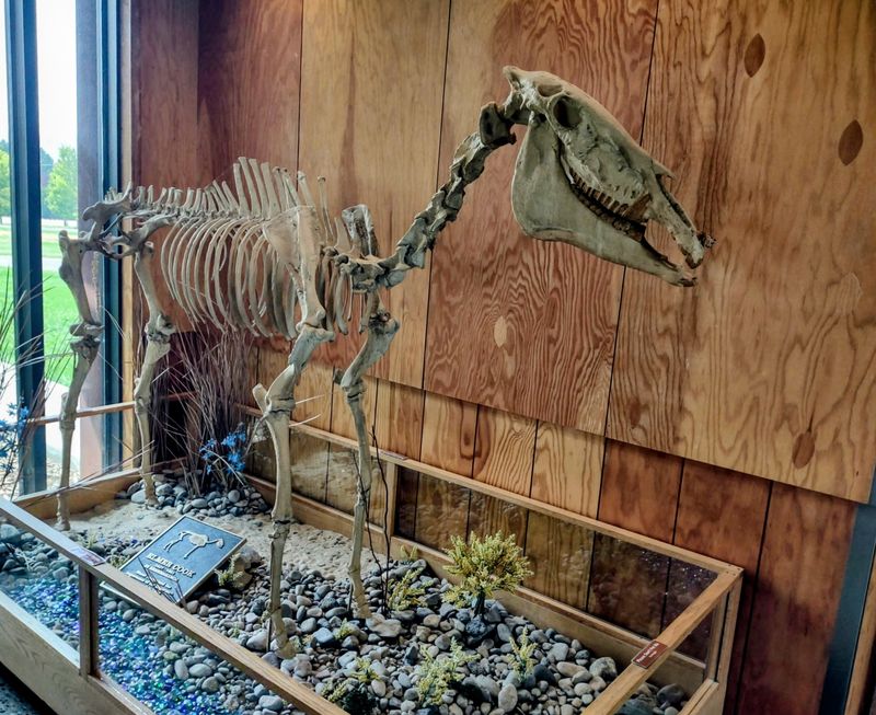 Visitor Center: Thousand Springs State Park & Hagerman Fossil Beds National Monument, Hagerman