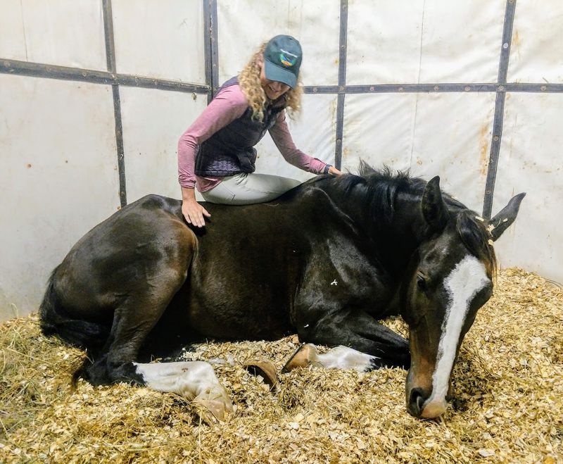 Horsemanship Over Horse Riding