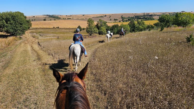 Trails for Hikers and Horses Alike