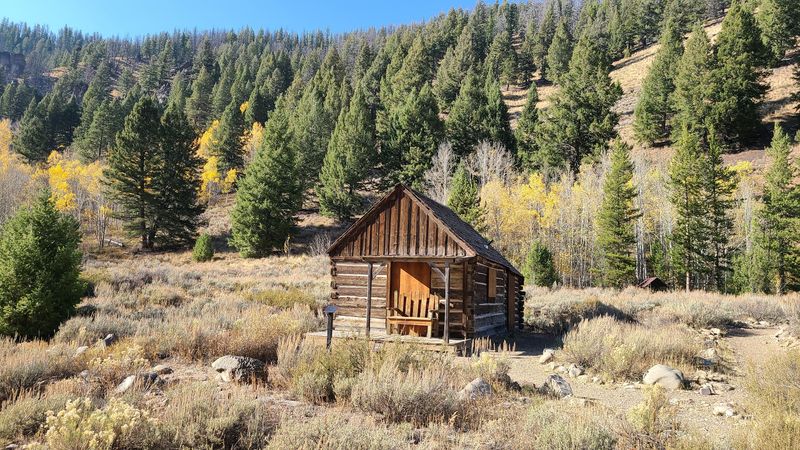 Why the Quiet Deepens in Fall