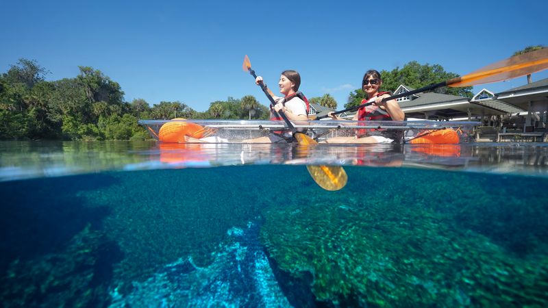 Six Florida springs you can paddle before the winter crowds show up - Decor Hint Silver Springs State Park Paddling Adventures