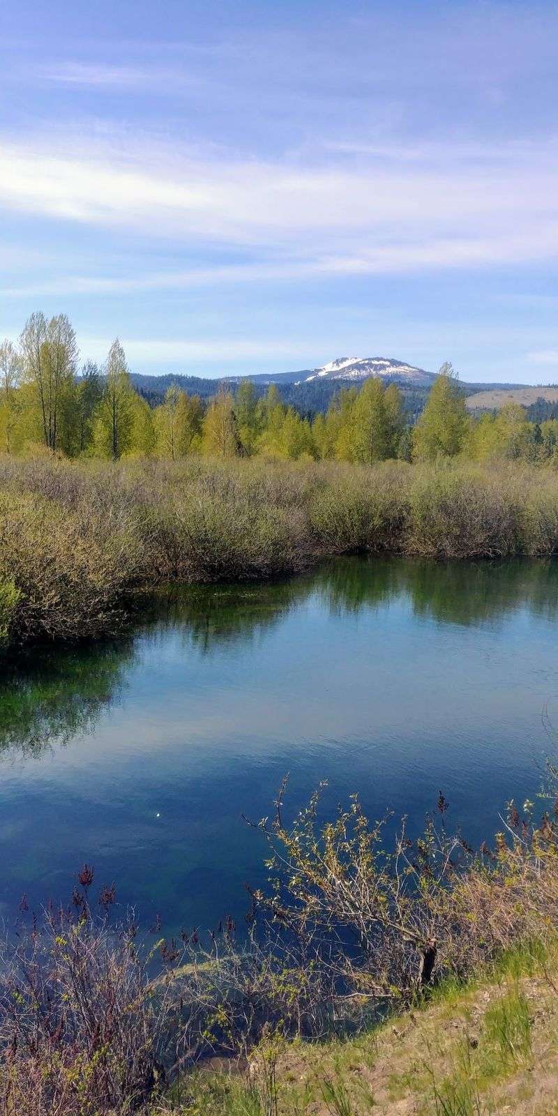 Riverside Riding And Chain Lakes