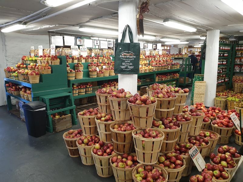 Rogers Orchards - Shuttle Meadow Farm Store, Southington
