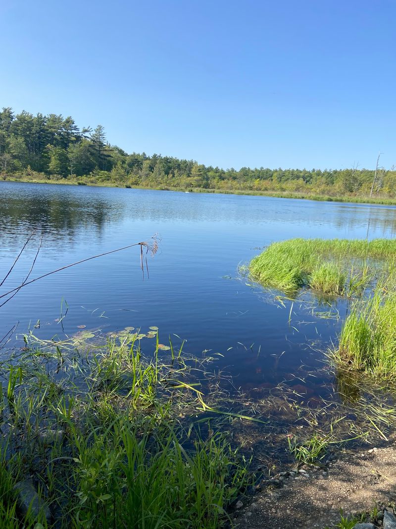 Parks, Bogs And Trails