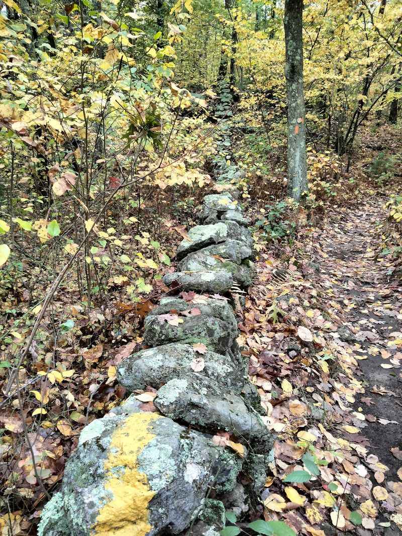 Old Roads Reveal How People Once Crossed These Woods