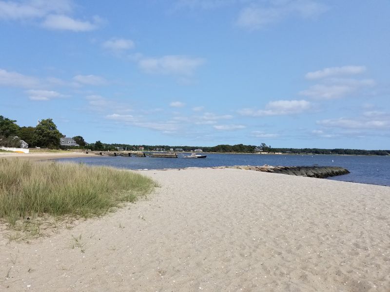 Silvershell And Quiet Sand
