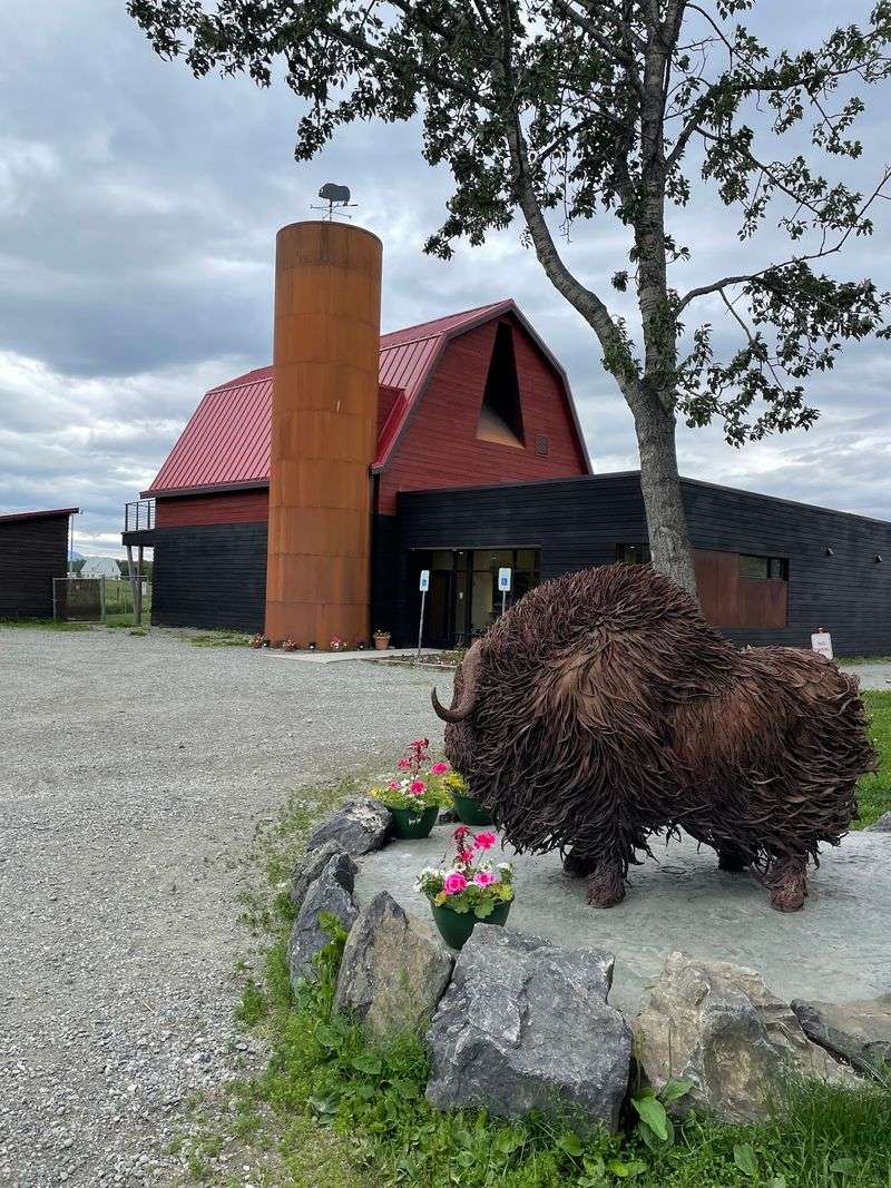 The Musk Ox Farm, Palmer