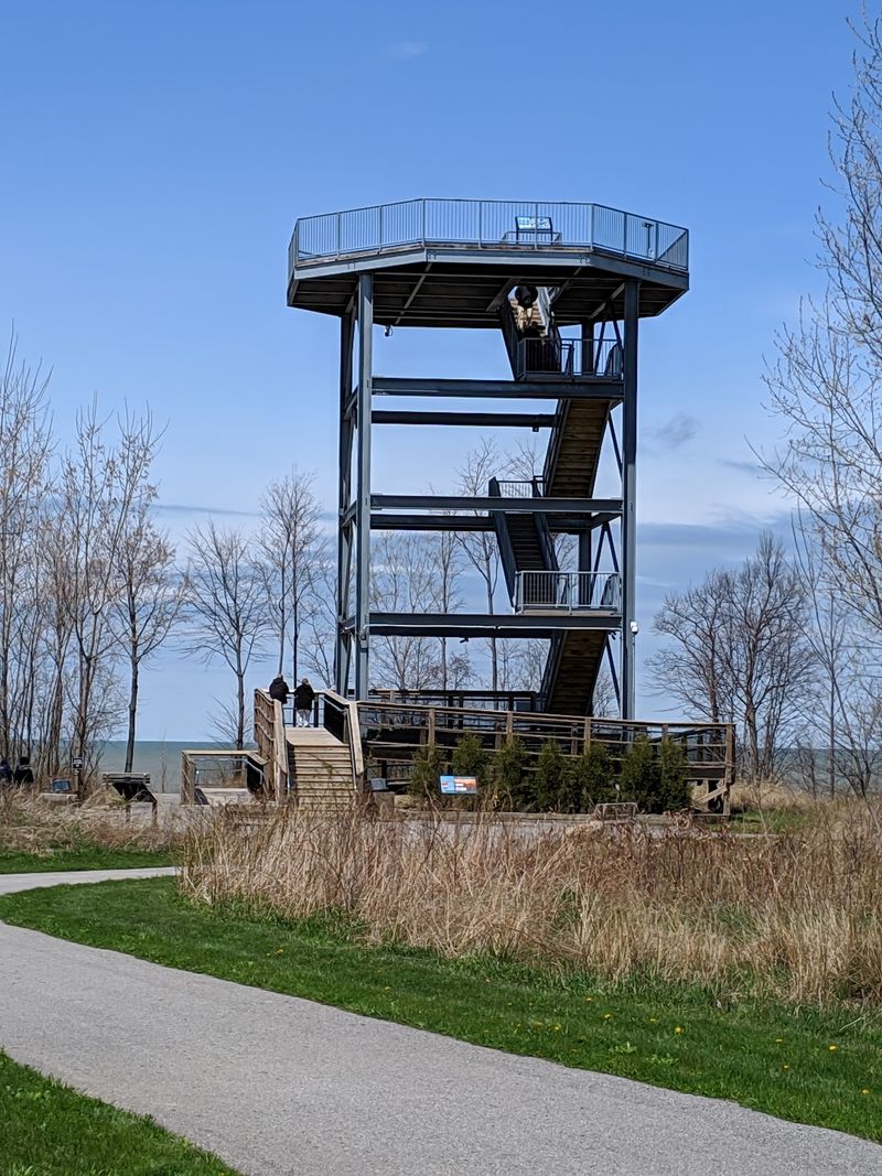 A Fifty-Foot Tower With Views In Every Direction