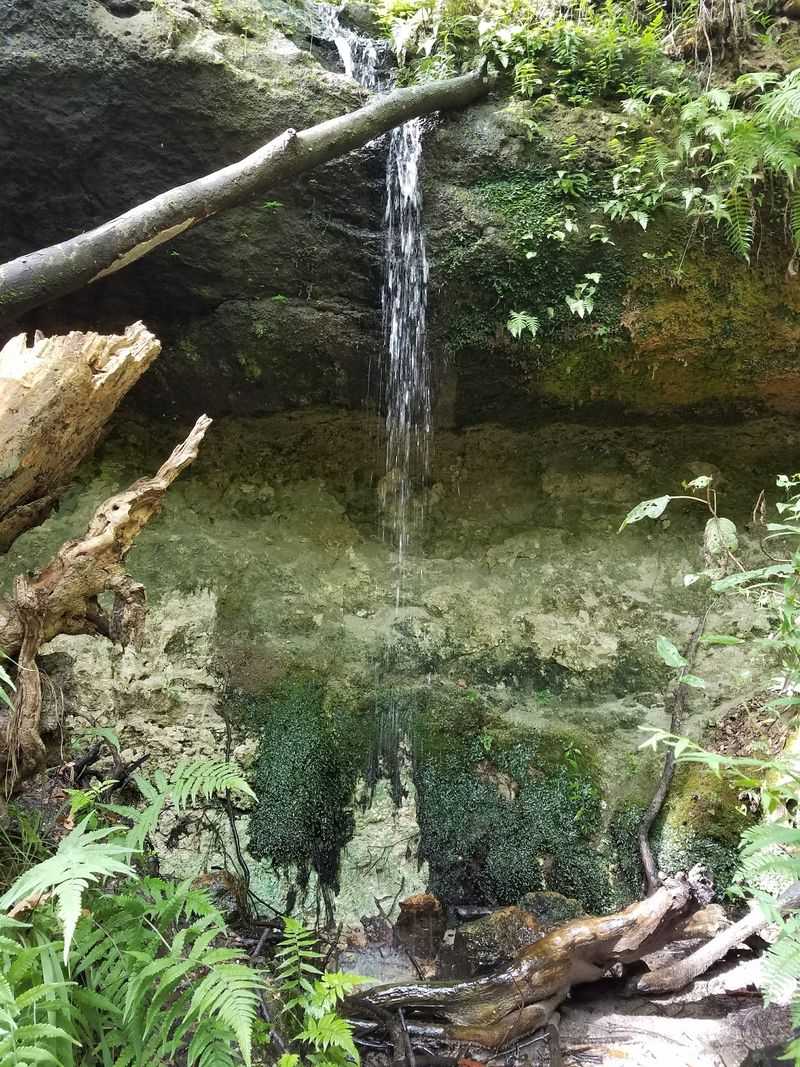 This Florida State Park Gets Zero Crowds And All The Stunning Views - Decor Hint A Waterfall Hiding On Weeping Ridge