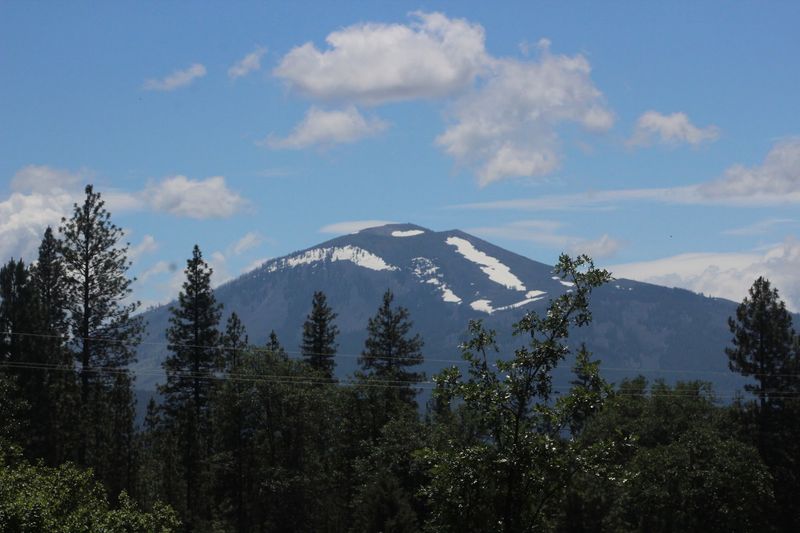 Mount Shasta Appears Beyond The Trees