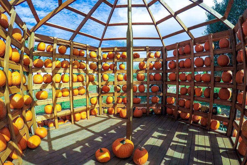 7 Family-Friendly Pumpkin Patches In Nebraska That Are More Fun Than Frightening - Decor Hint Roca Berry Farm In Roca