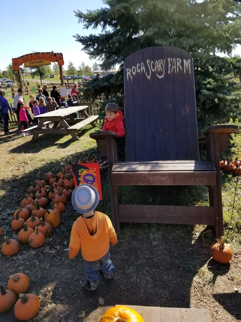 Roca Berry Farm In Roca