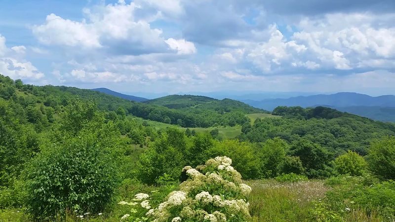 Make It A Side Trip When Exploring The Mountains Near Asheville