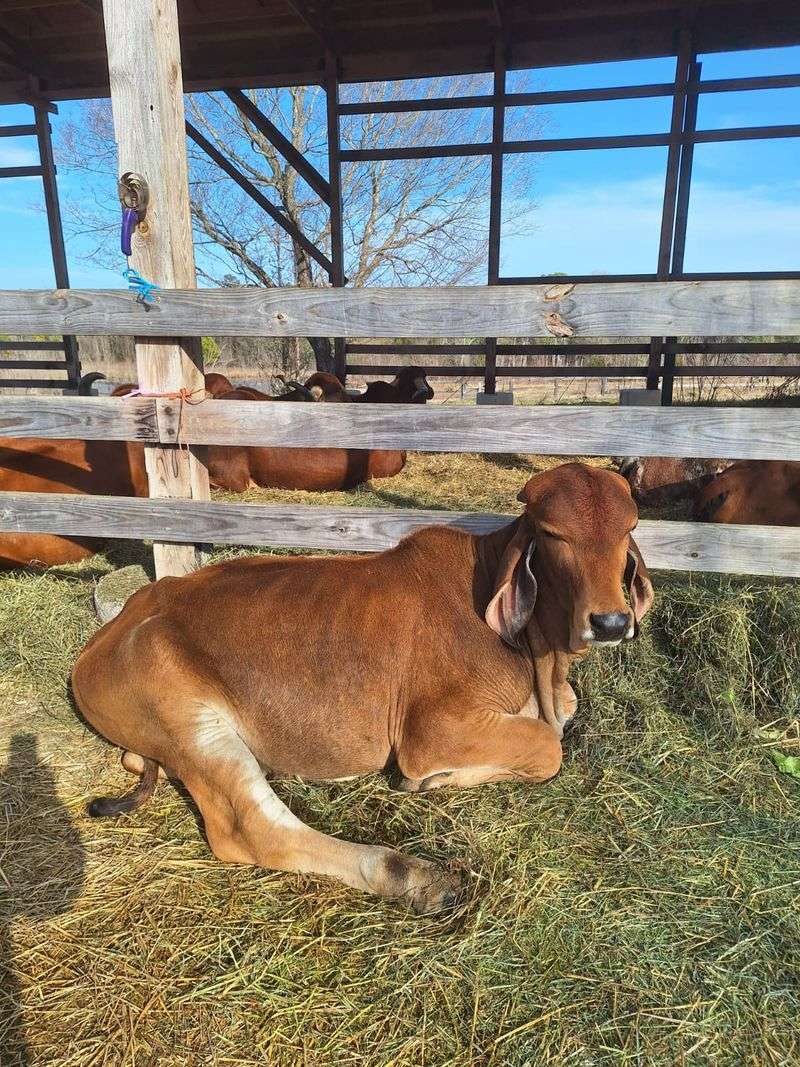 Make A Weekend Visit Part Of A Relaxed Farm Day