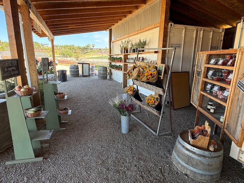 Mellano Farm Stand: Flowers And Fields Near The Coast