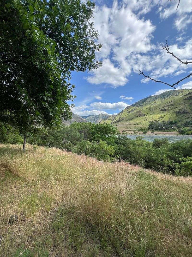 Pittsburg Landing Trails