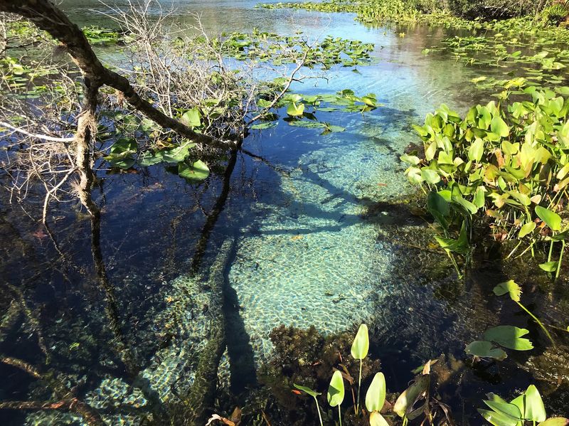 A Paddle Down the Spring Run