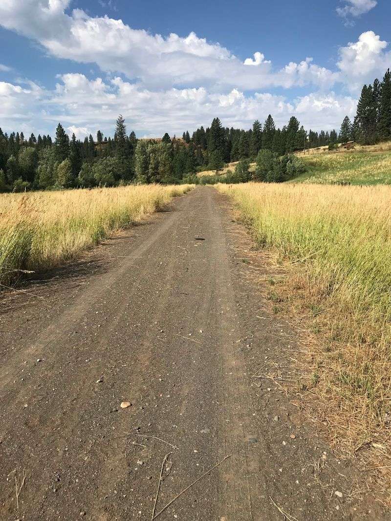 Spend A Morning On The Nearby Weiser River Trail