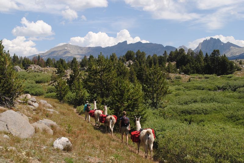 Gateway To The Greater Yellowstone