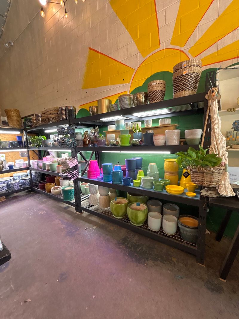 This South Carolina Nursery Is Packed With Native Plants, Pots And Garden Treasures - Decor Hint Handmade Pots And Local Crafts
