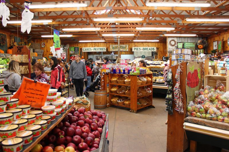 Linvilla Orchards, a Delaware County Mainstay