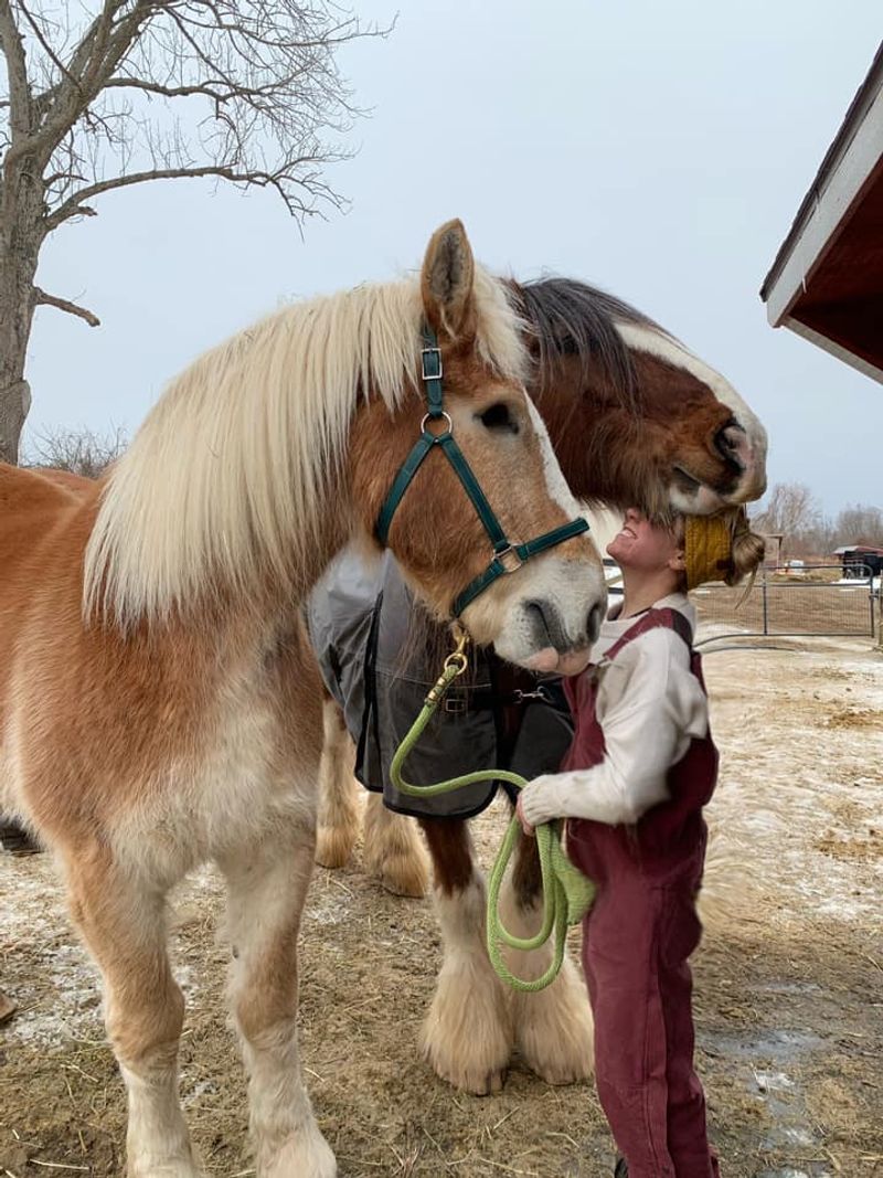 Volunteers Keep The Herd Going