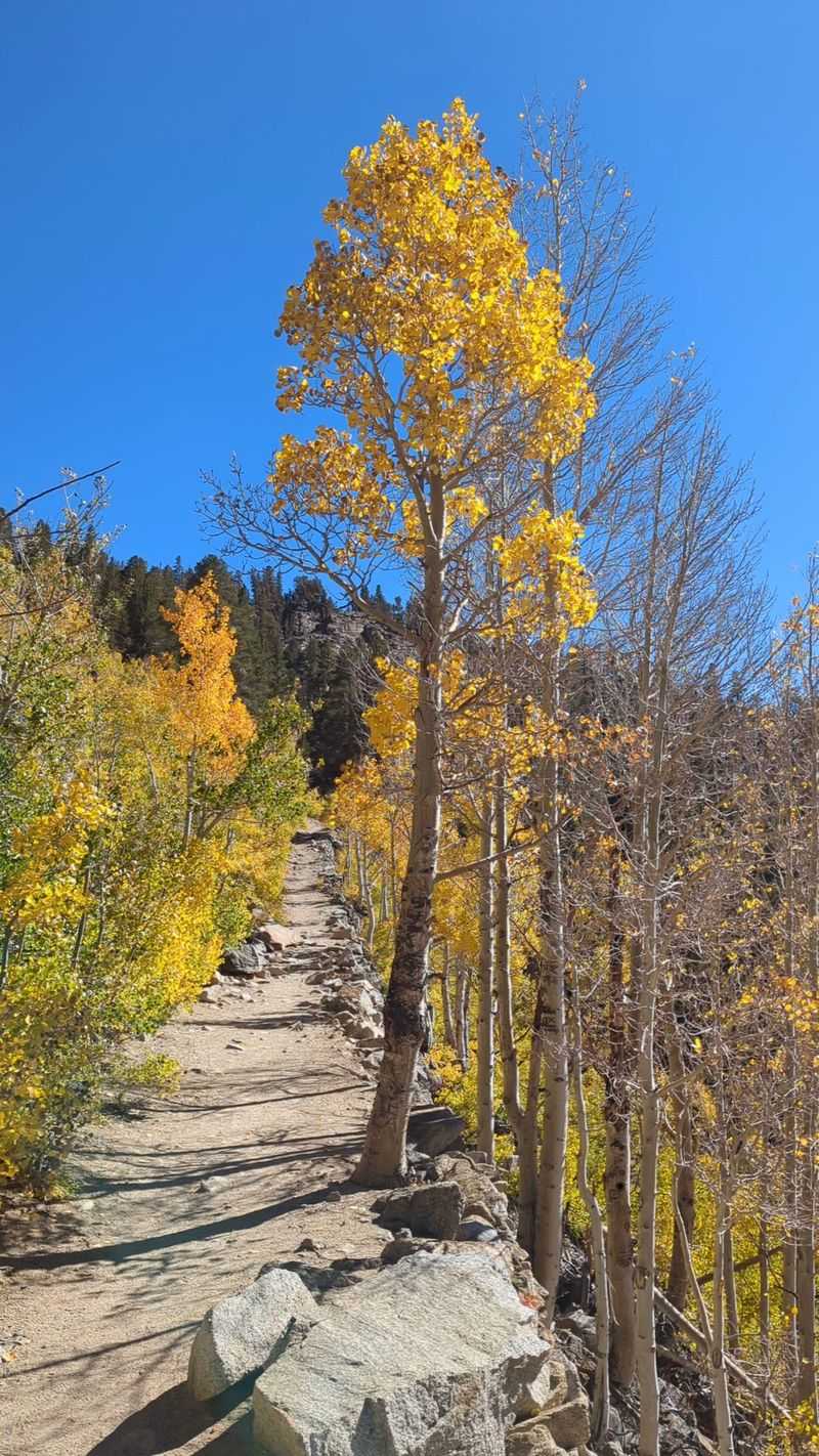 No Serious Hiking Required For Big Views
