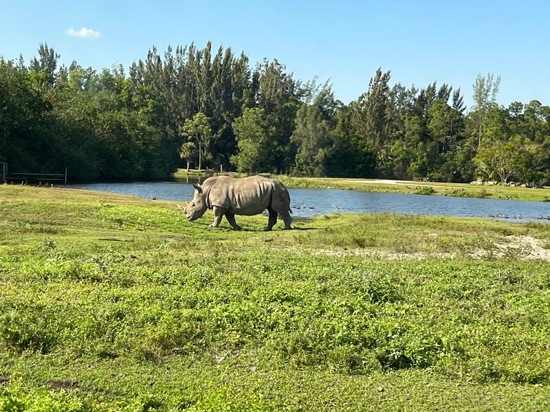 Seven Habitats, Four Miles, One Slow Lap