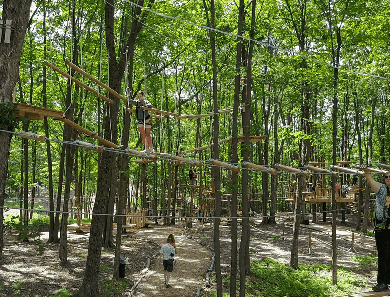 Treetop Thrills In Warm Months