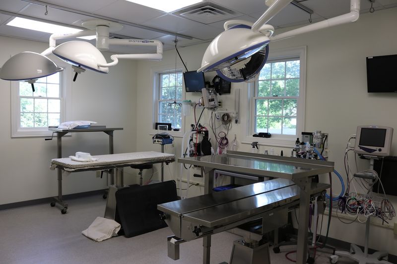 Advanced Imaging Helps Doctors Find Answers