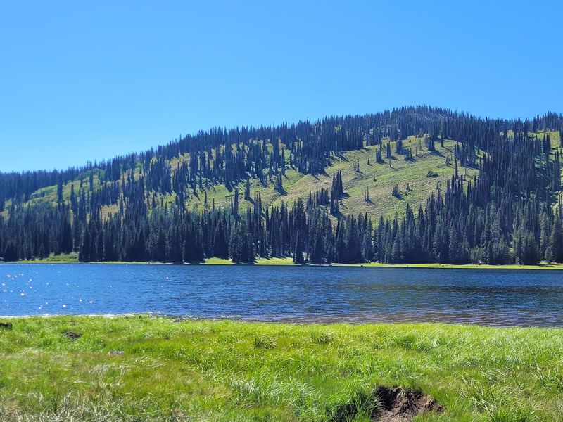 Head Toward Goose Lake For A More Scenic Mountain Outing
