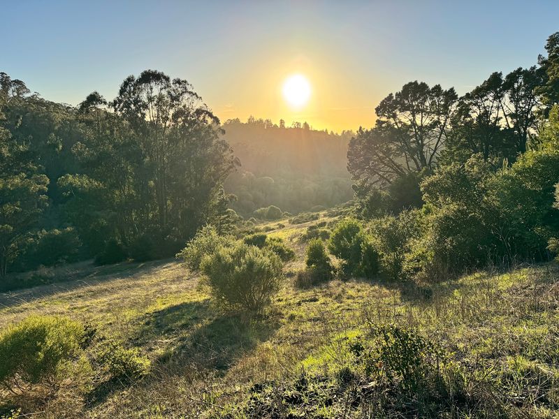 Follow Nimitz Way Across The Hills