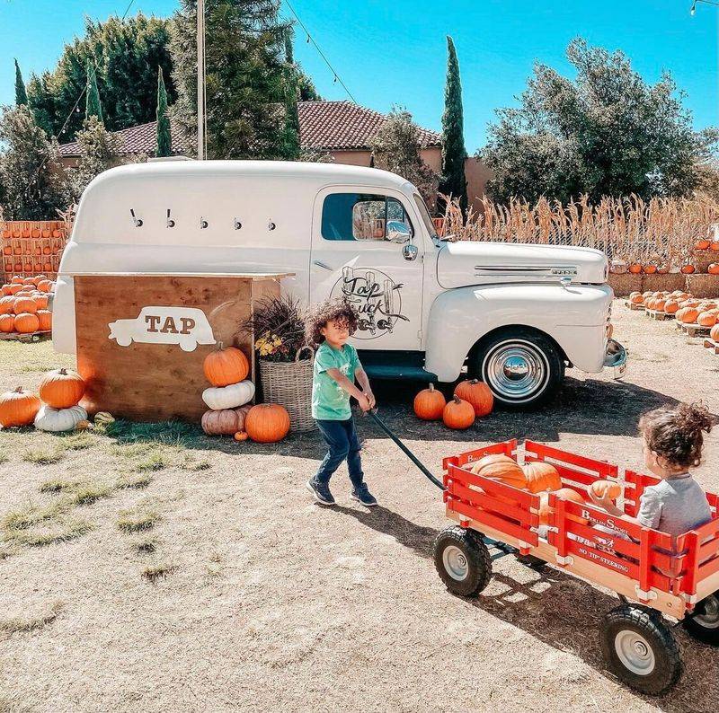 Goff Family Pumpkin Patch, San Diego