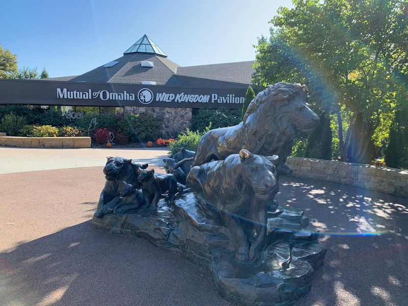 Nebraska Is Home To A Zoo Where A Glass Tunnel Lets Sharks Swim Right Over Your Head - Decor Hint Food, Snacks, and Bringing Your Own Lunch