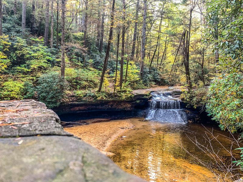 Follow The Twists Of A Wild River