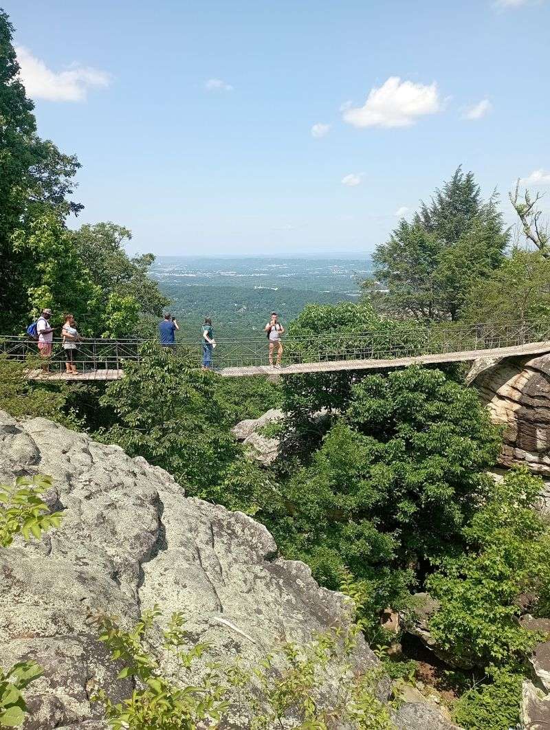 Wobbling Across The Swing-A-Long Bridge