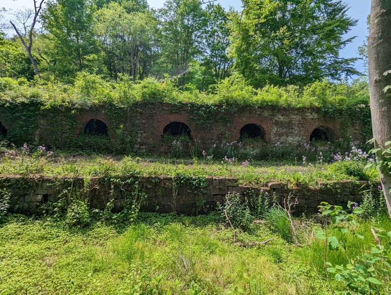 Leetonia Beehive Coke Ovens Park