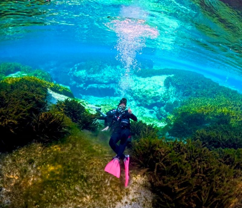 Snorkels, Scuba Tanks, and Free Dives
