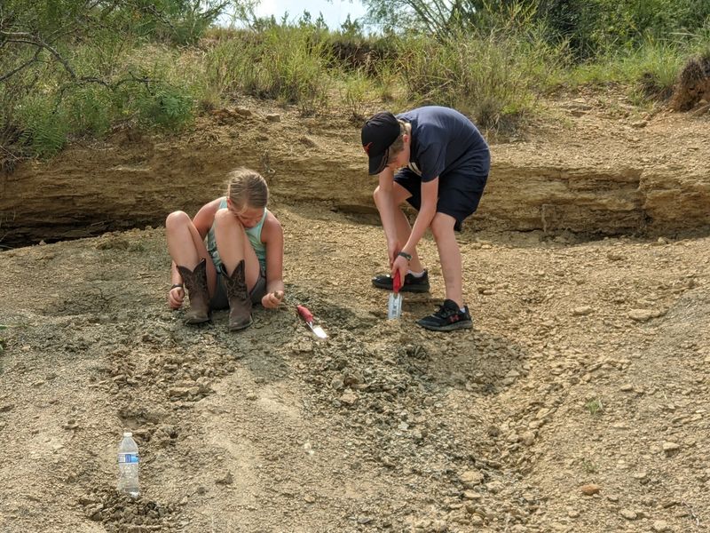 Search For 300-Million-Year-Old Fossils At This Incredible Texas Park, And Take Home What You Find - Decor Hint Finders Keepers Is The Actual Rule