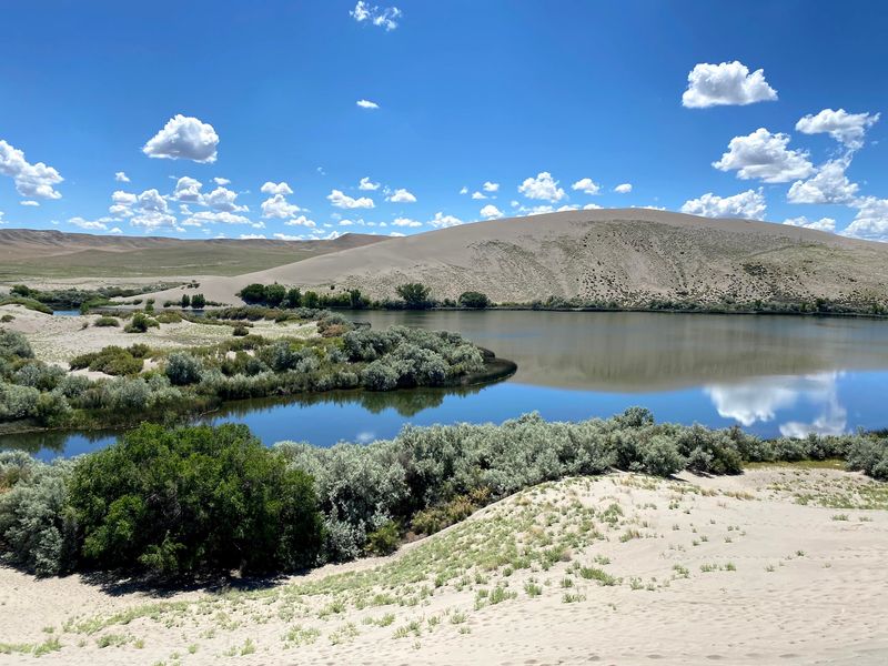 Lakes, Wildlife, and Glowing Scorpions