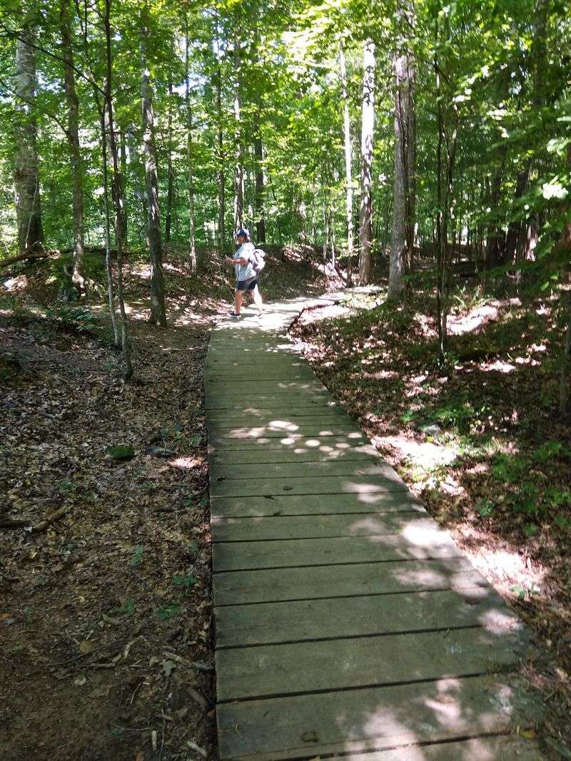 Enclosure Trail At Old Stone Fort State Archaeological Park, Manchester
