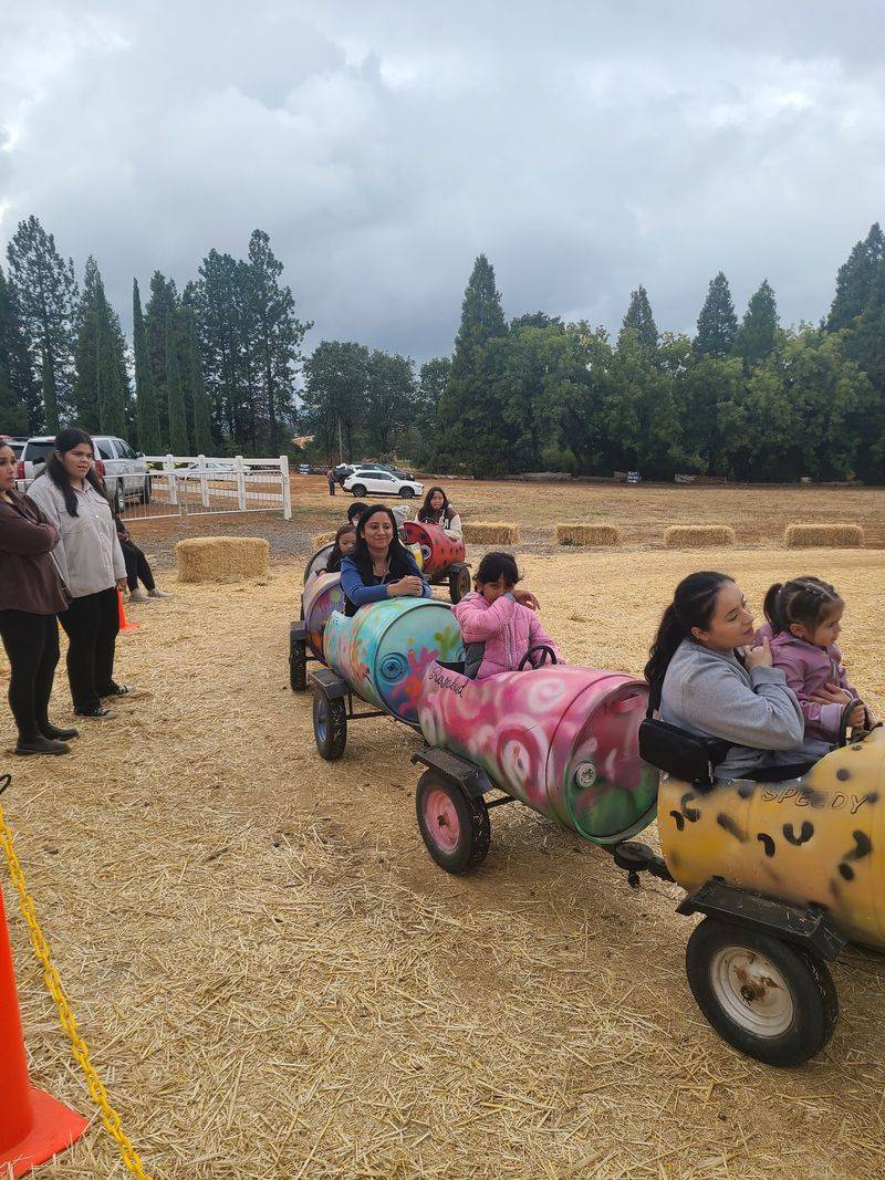 Catch Weekend Fall Activities