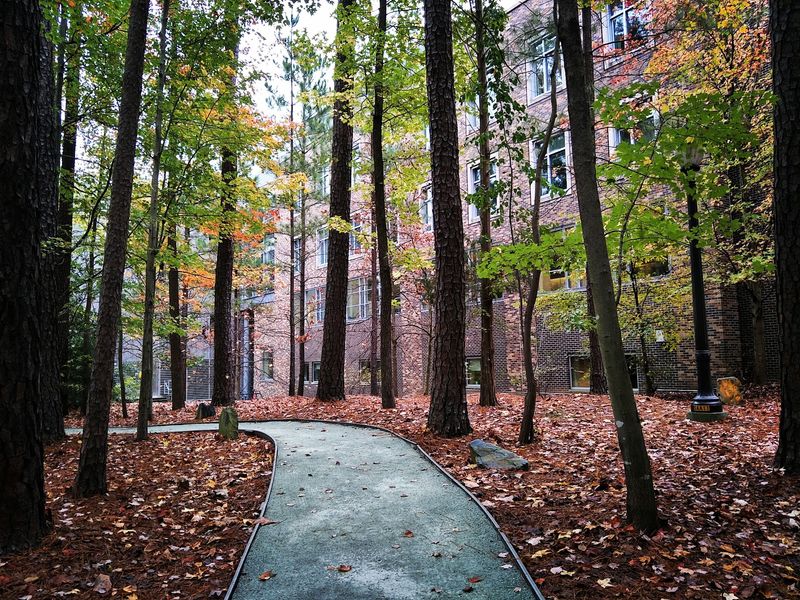 See Why The Campus Becomes Even More Striking In Fall