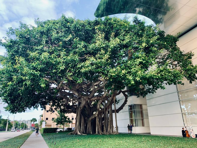 A Palm Beach Art Landmark on Dixie Highway