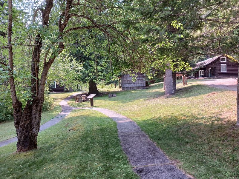 A Shady Spot For A Roadside Lunch