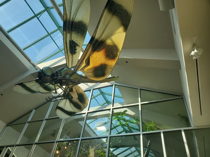 Scientists Are Waiting To Answer The Bug Questions You Were Afraid To Ask