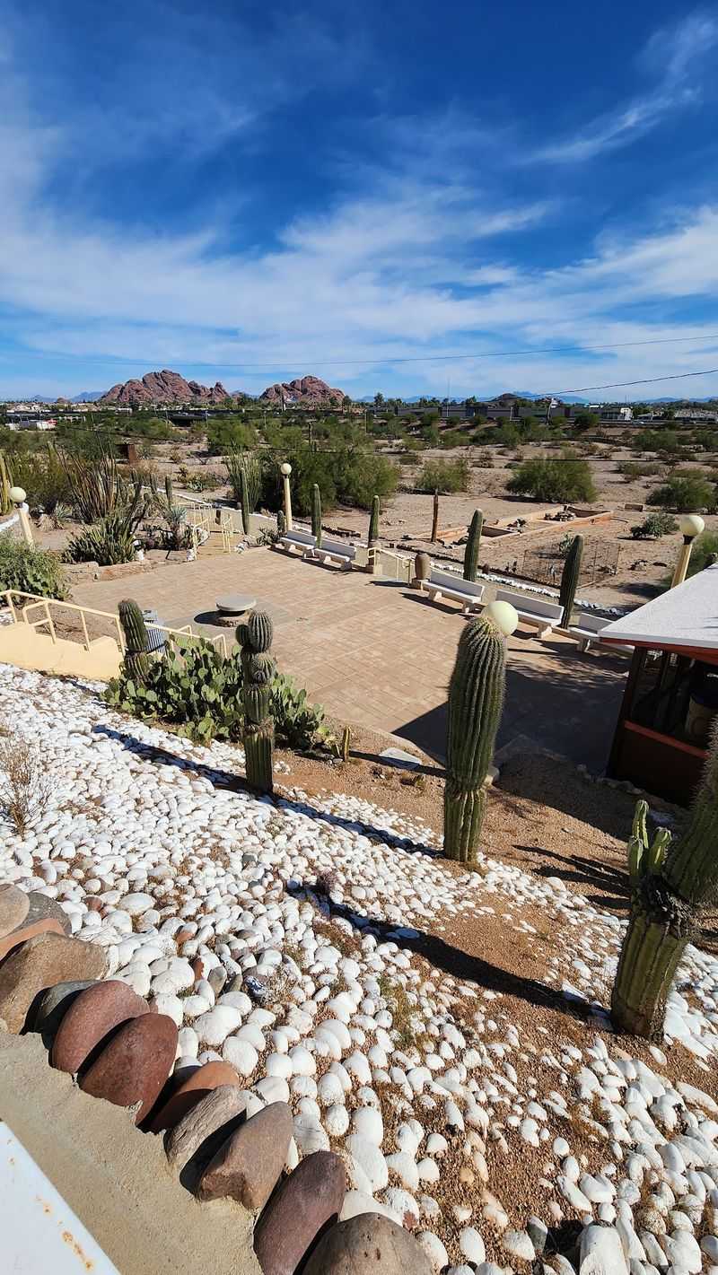 Five Thousand Cacti And Counting