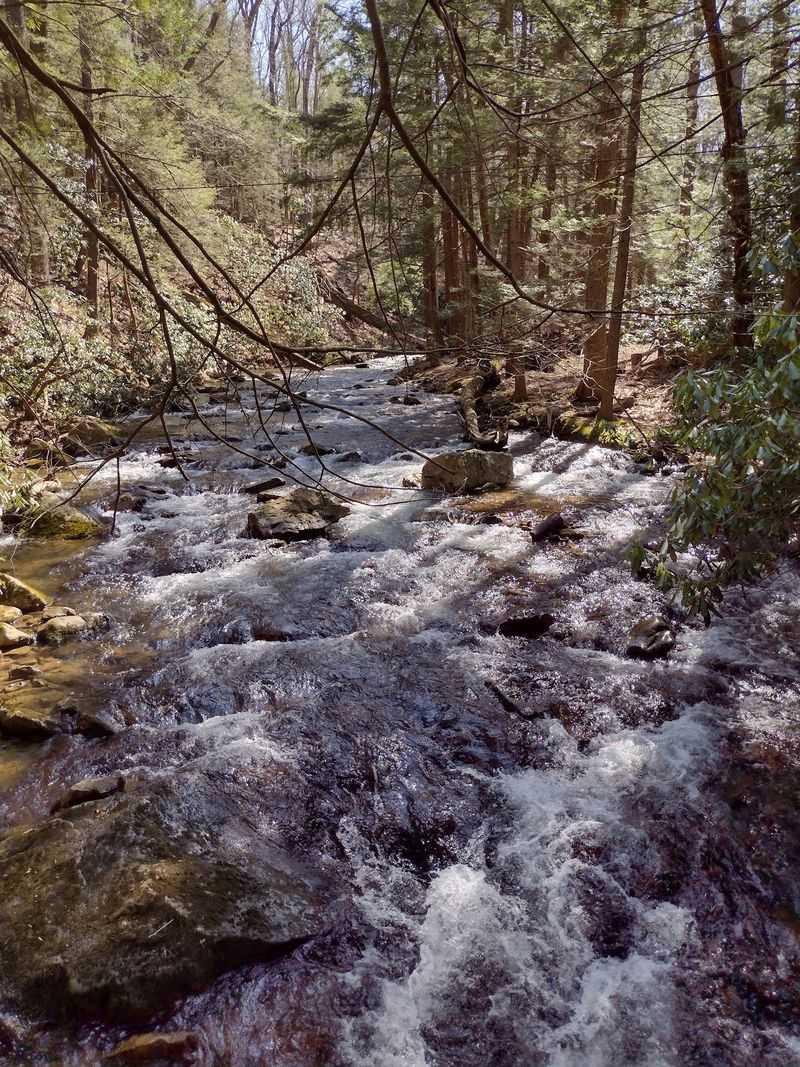 Six Miles Of Trails That Connect To Something Bigger