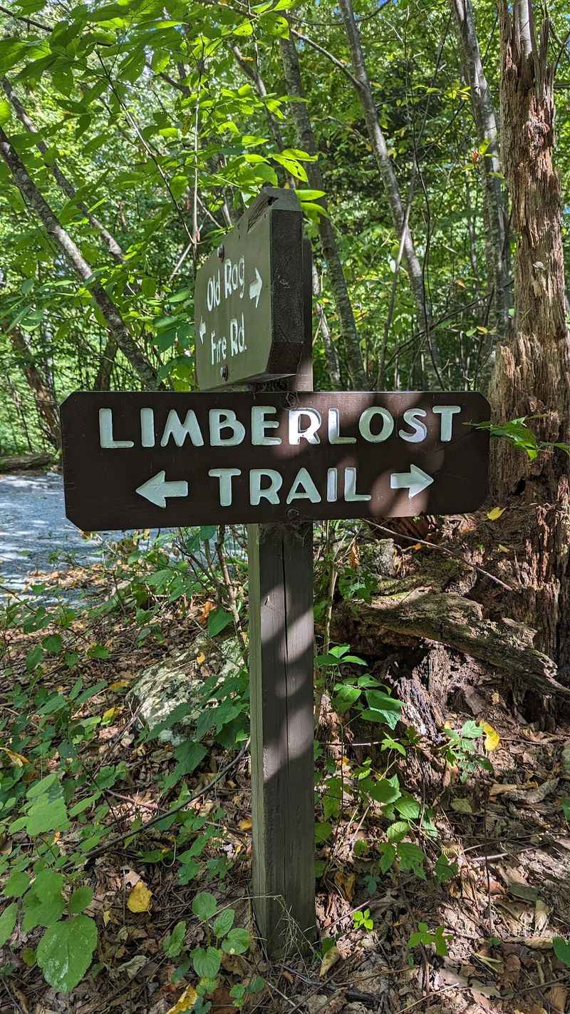 Limberlost Trail, Luray
